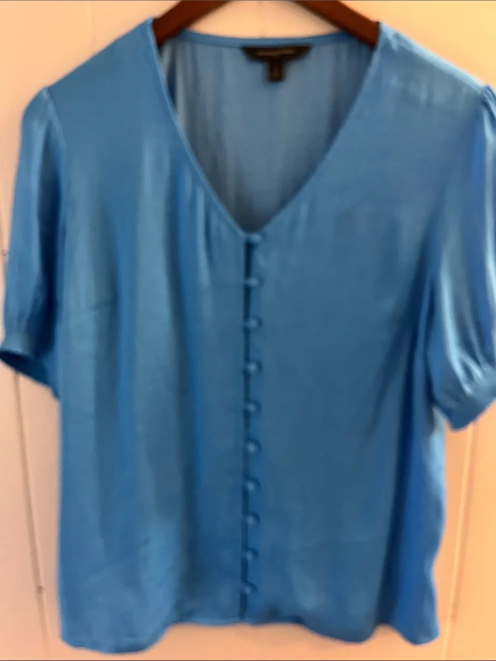 Banana Republic Bright Blue V-Neck Button-Front Blouse
